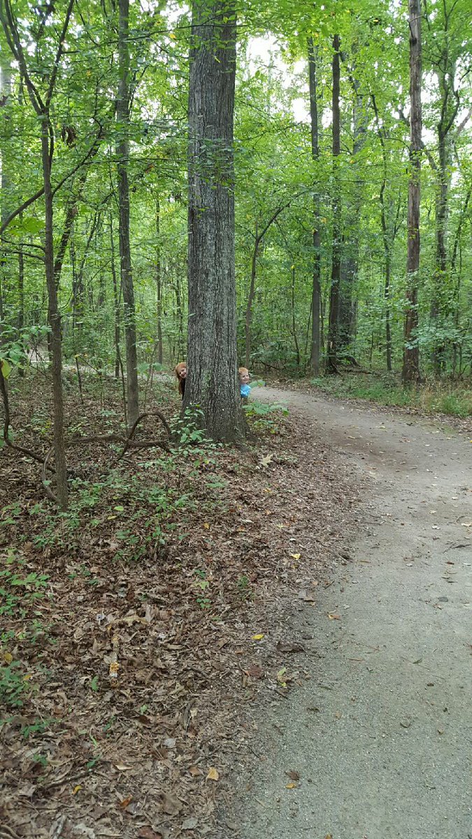 GCreel77's tweet photo. Can you spot the reds? More elusive than a jack-a-lope!
#creativesprint  #vcubizcreates https://t.co/6BzLM7JbtO