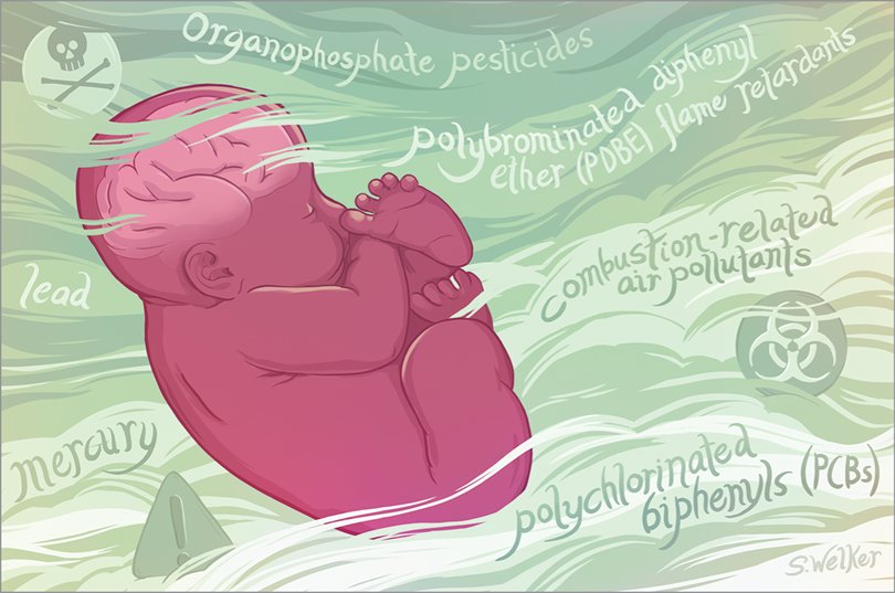 OTCranes's tweet photo. Call to action to reduce toxic chemicals like Organophosphates that cause Autism and ADHD in children. https://t.co/b8n1uY6L8I https://t.co/LEfmipykkB