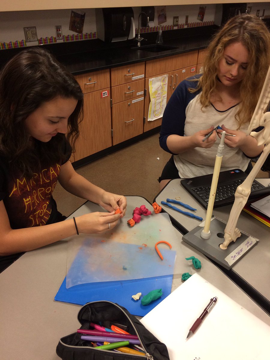 RMHSBioMed's tweet image. HBS building a brain on our Mani's!