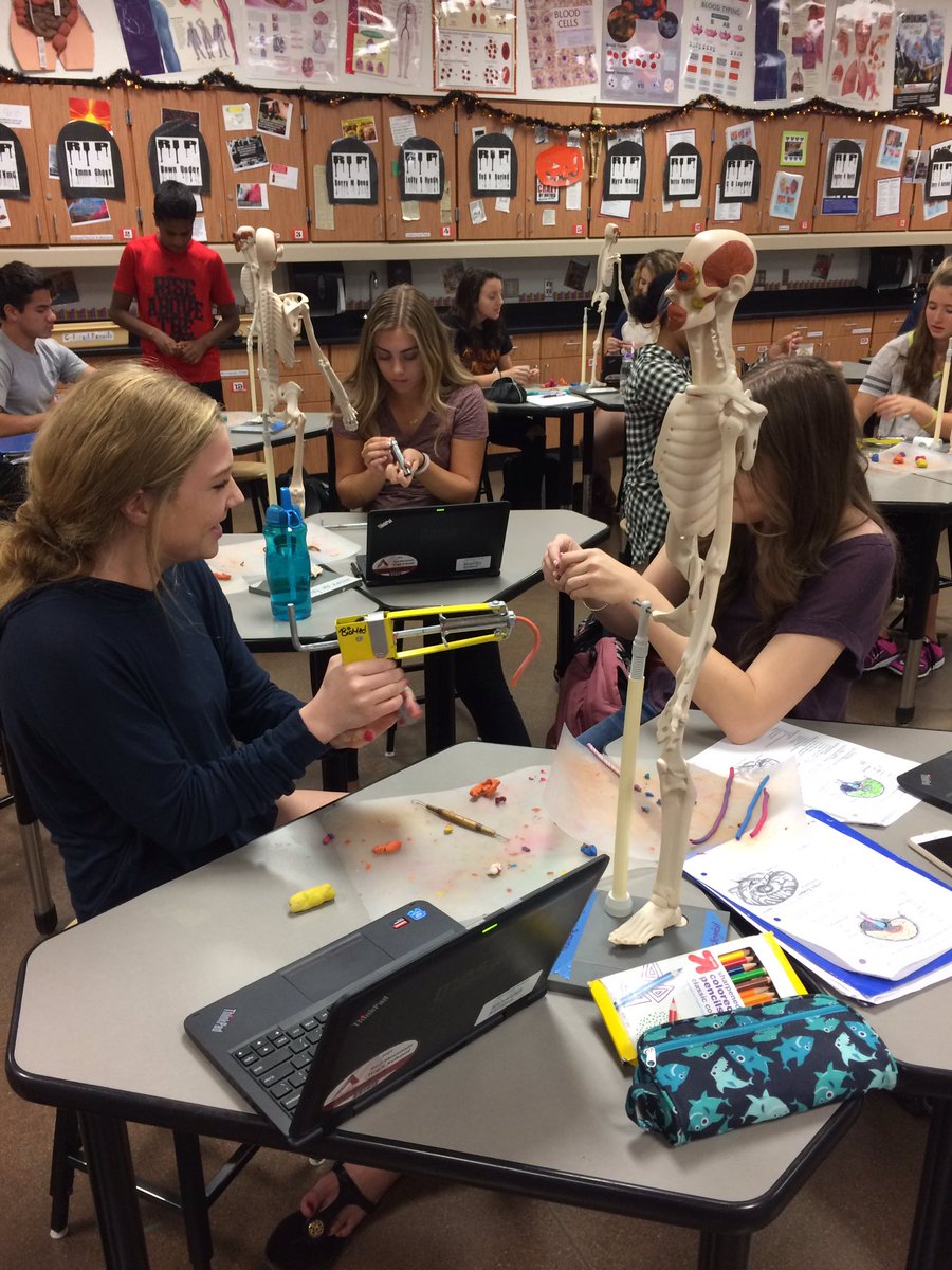 RMHSBioMed's tweet image. HBS building a brain on our Mani's!