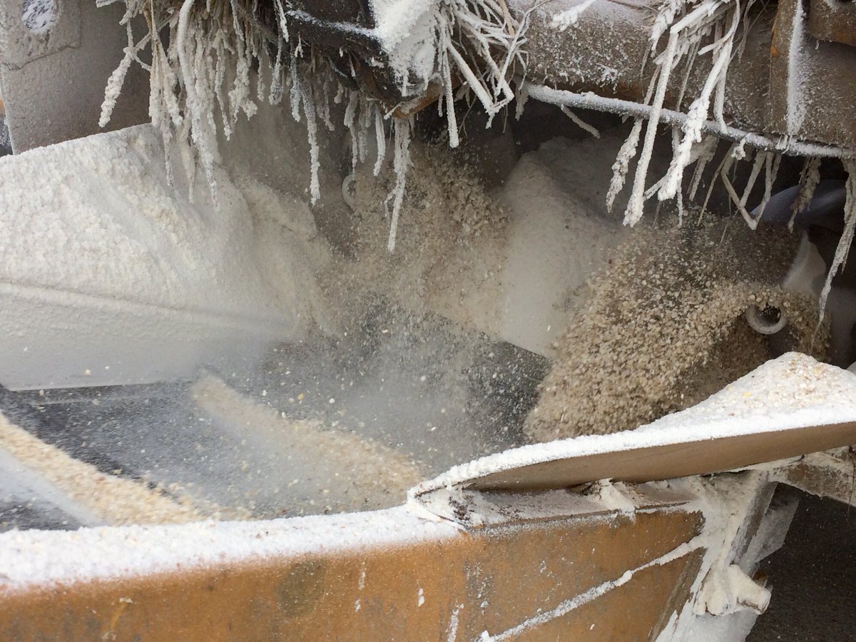 Processing beans through the tub grinder #teamdairy