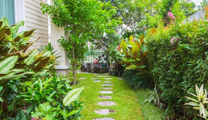 RealtorCWelsh's tweet photo. Surround yourself with nature. 9 tips for creating a living privacy screen: https://t.co/2AfRMaI4cY https://t.co/6dFMQs6yZ4