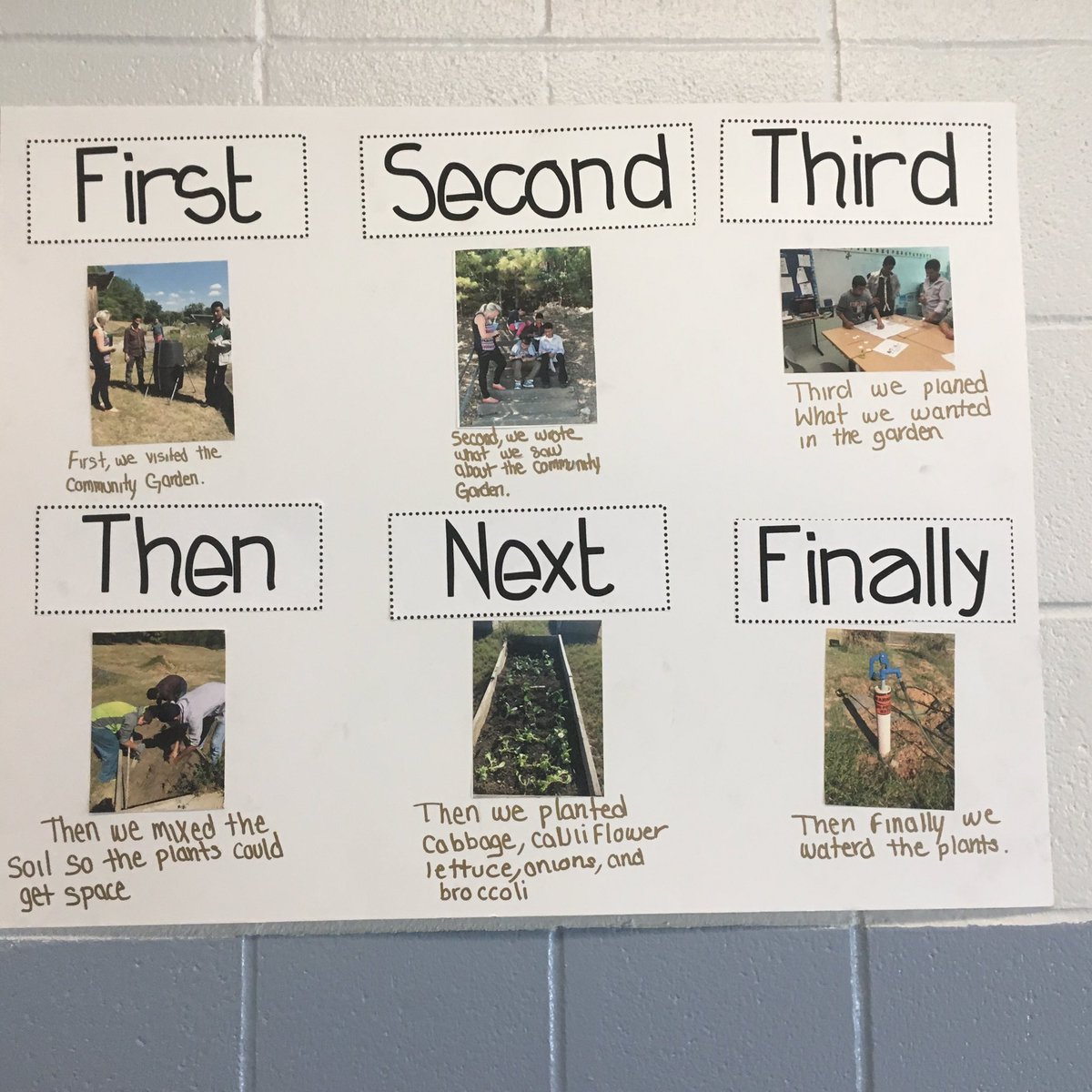 HMS School Garden tweet media