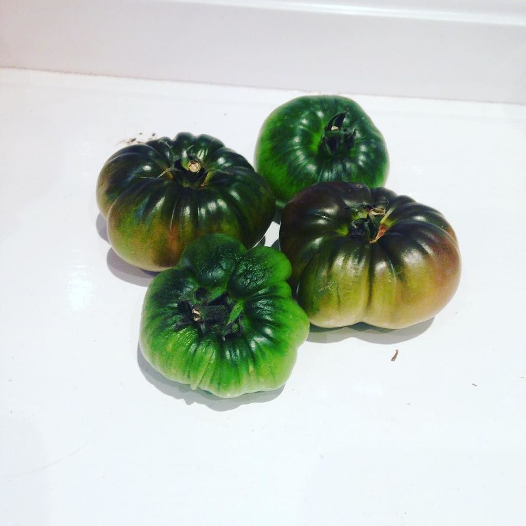 It's the end of summer. 
These tomatoes certainly look 'different'  for my parents first y… ift.tt/2e3mQWR