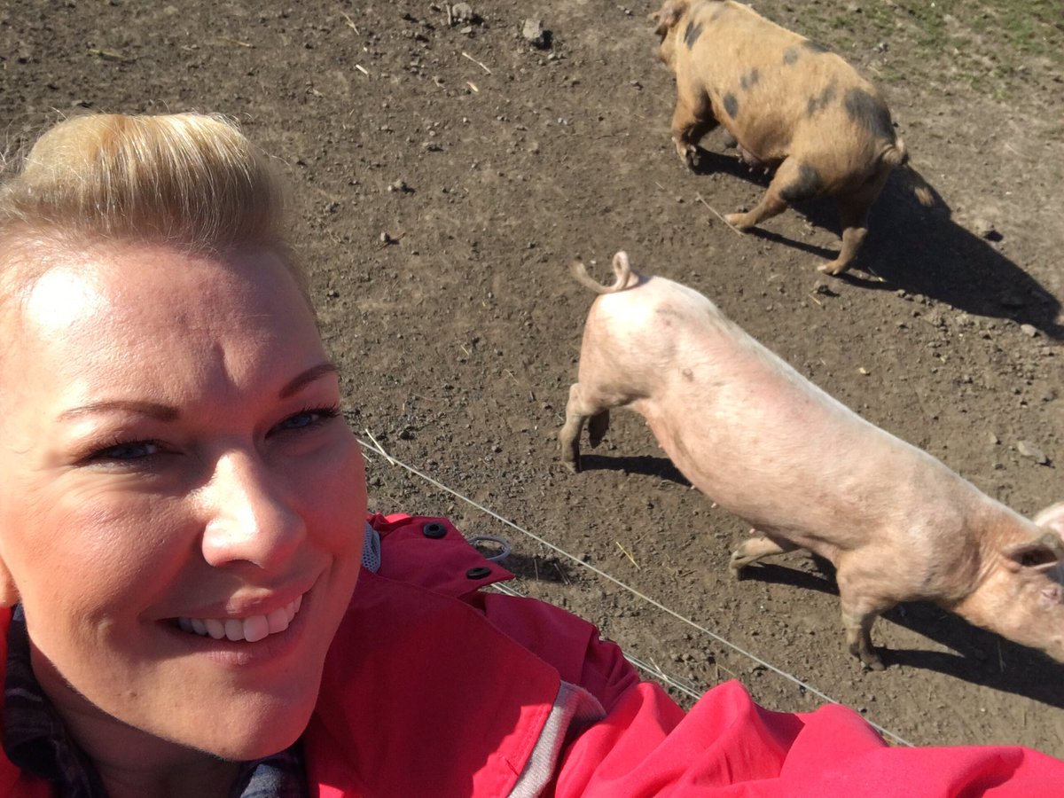 Alibob77Ali's tweet photo. Fun packed day volunteering on the farm for Community 10000 with Newcastle BAs every muscle aching now!! 😁 @DWP_BA https://t.co/Y98e8eW761