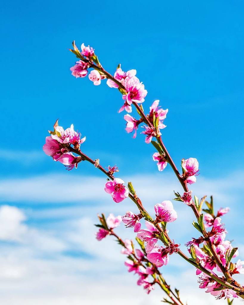 amongmountains&lakes tweet media