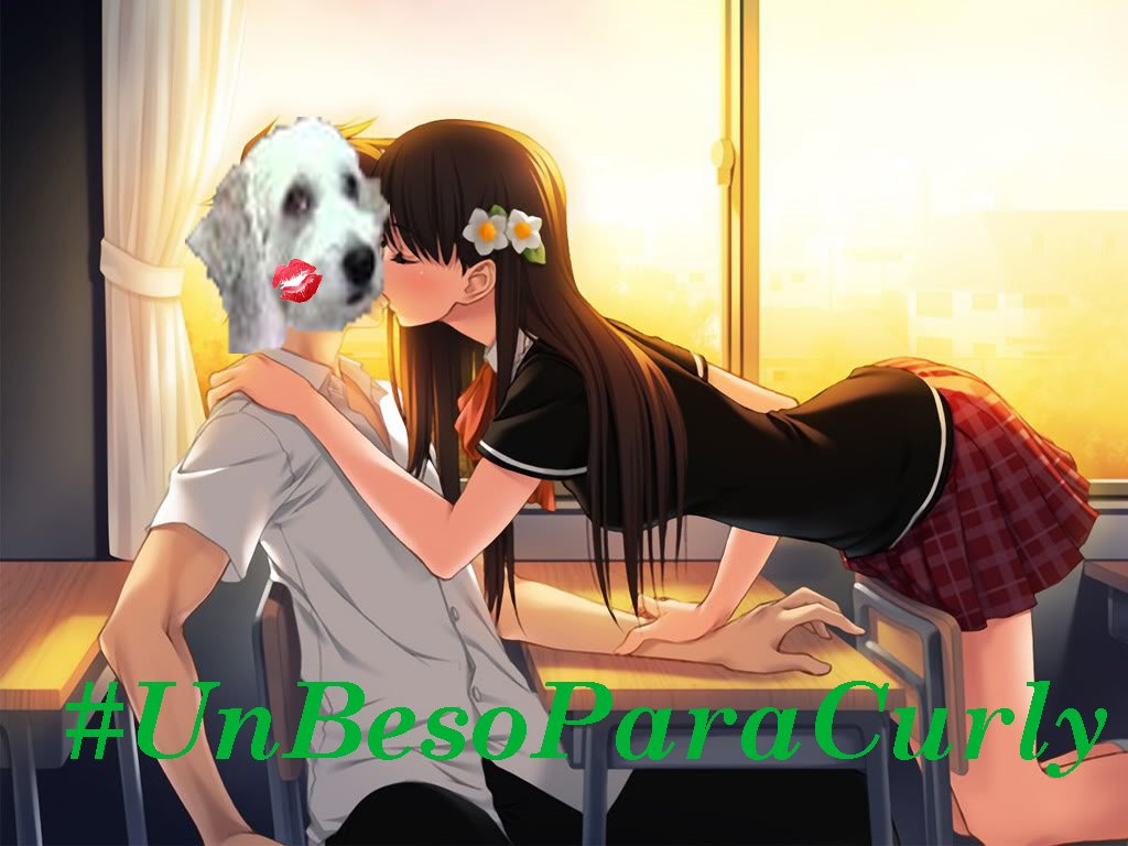 #Unbesoparacurly <a href="/Fernanfloo/">Fernanfloo</a> x'* x'*