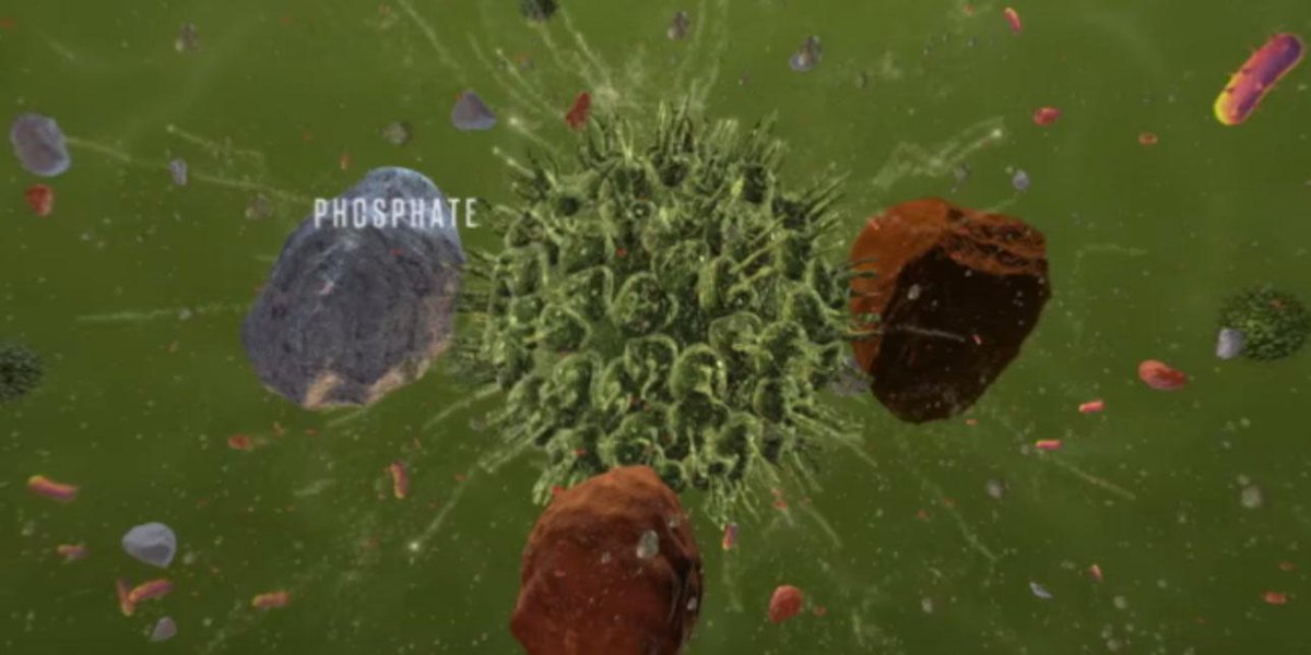 ChannelSeed's tweet photo. Watch how Acceleron and @MonsantoBioAg drive yield sustainably in this 360° video: #SAS360 https://t.co/ad1gQNHOk5 https://t.co/jBiWMoeAZv