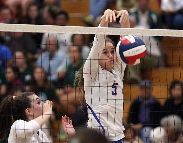 Newest NorCal Top 20 VB ranks have posted and includes link to the <a href="/CalHiSports/">Cal-Hi Sports</a> state rankings. sportstarsonline.com/volleyball/Nor… (P. Ghiglieri photo)