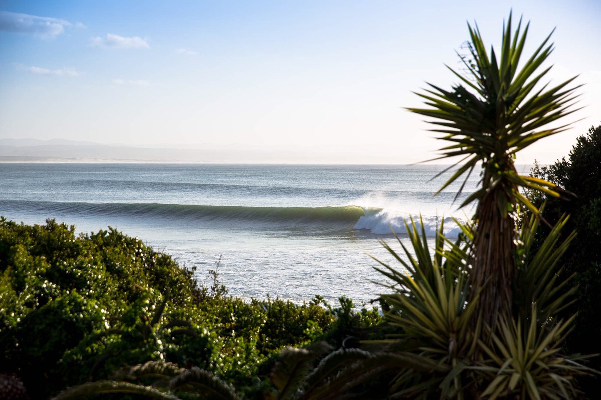 This is the stuff that grom dreams are made of! #SAJuniorChamps
