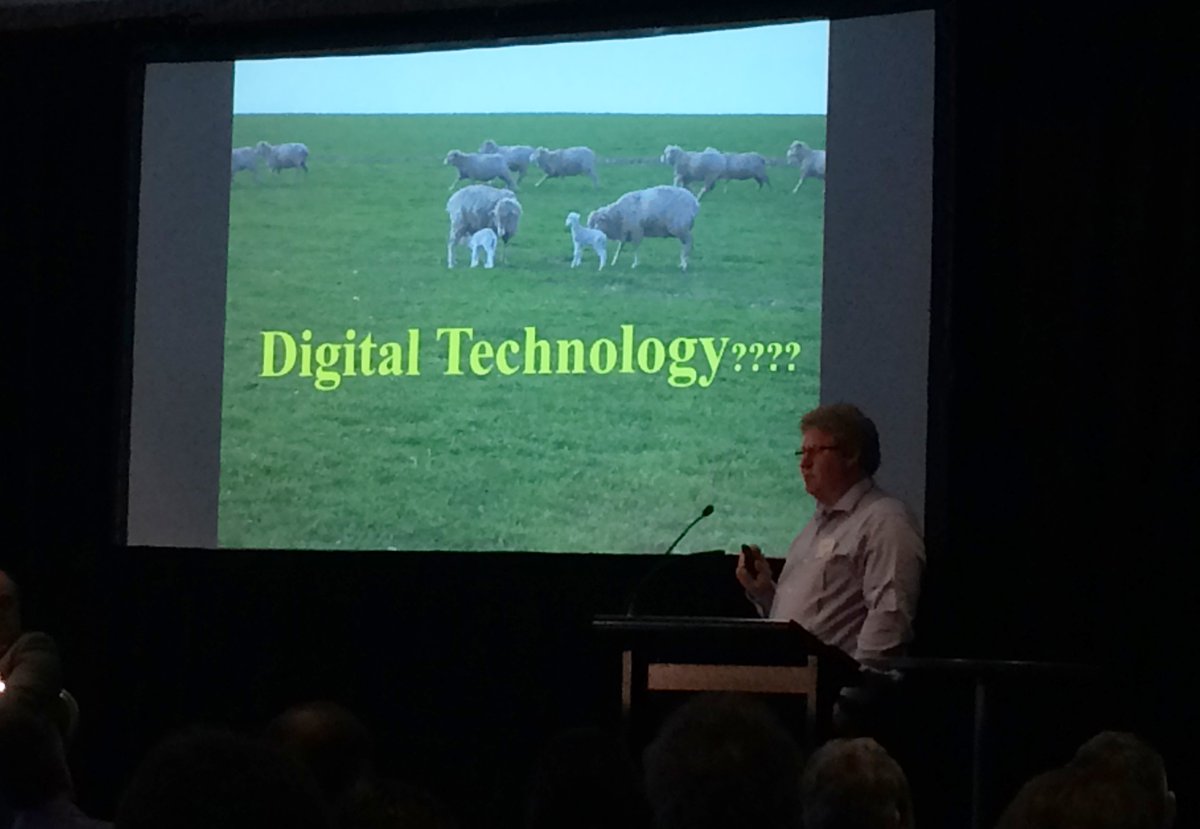 Meat & Livestock Australia tweet media