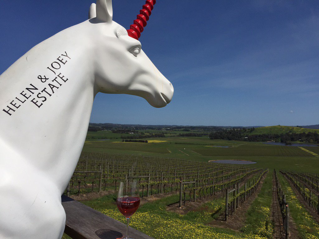 Bruce enjoying the sunshine with a glass of Rosé on our beautiful deck <a href="/winewankers/">The Wine Wankers 🍾🤛🎉🥂</a> <a href="/yvwines/">Yarra Valley Wines</a> #yarravalley