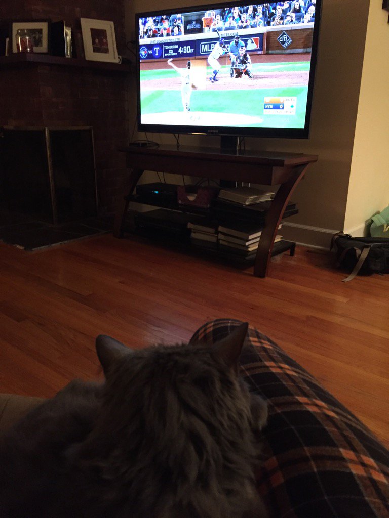 ThirdRealist's tweet photo. Watching from dad's chair. Hopefully it will bring some luck. Let's go Mets!! @Weerd_Science https://t.co/8g6VdRdLfR