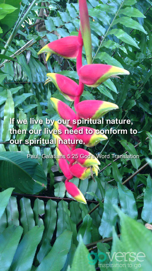 bespokeprayer's tweet photo. If we live by our spiritual nature, then our lives need to conform to our spiritual nature.... #goverses https://t.co/1QuQLrN5ea