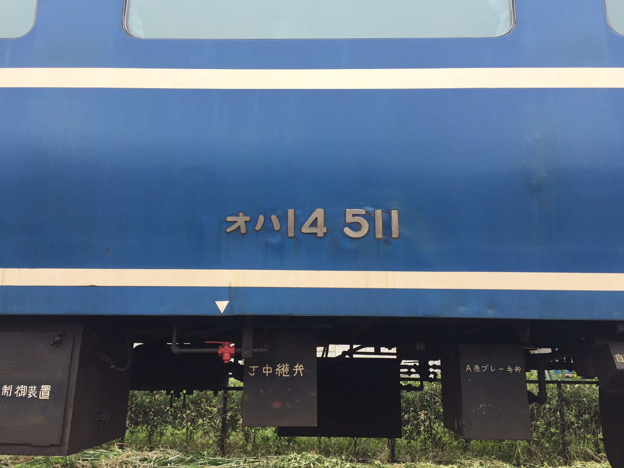 ✨*:.｡. forest .｡.:*✨ on X: 