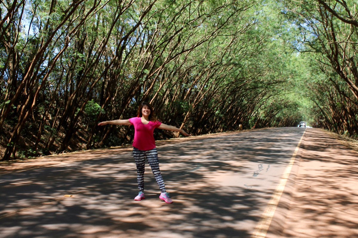 Olgapalta's tweet photo. Túnel de Árboles de Santa Trinidad, uno de los lugares exóticos de Paraguay #amoviajar https://t.co/89im7V4svX