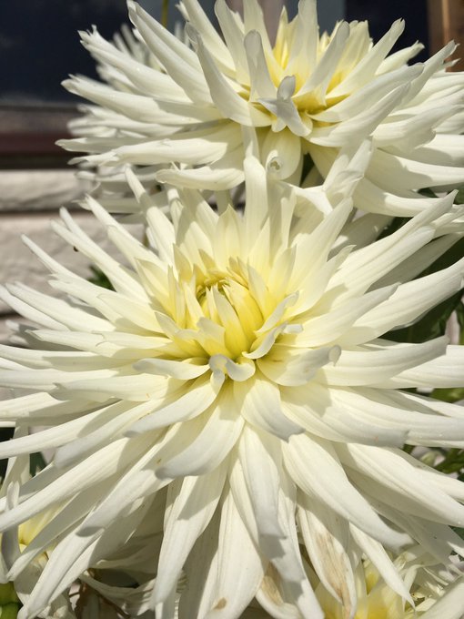 Ed Kuzovlev’s pics and videos