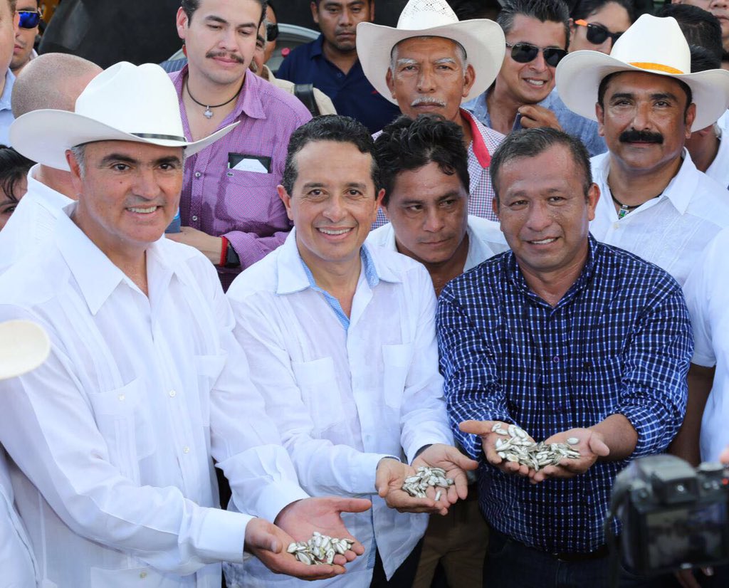 CarlosJoaquin's tweet photo. Un gusto recibir al Secretario @ppcalzada @SAGARPA_mx el apoyo al Campo de #QRoo es prioridad. Gracias por los beneficios otorgados https://t.co/pDauAughUL