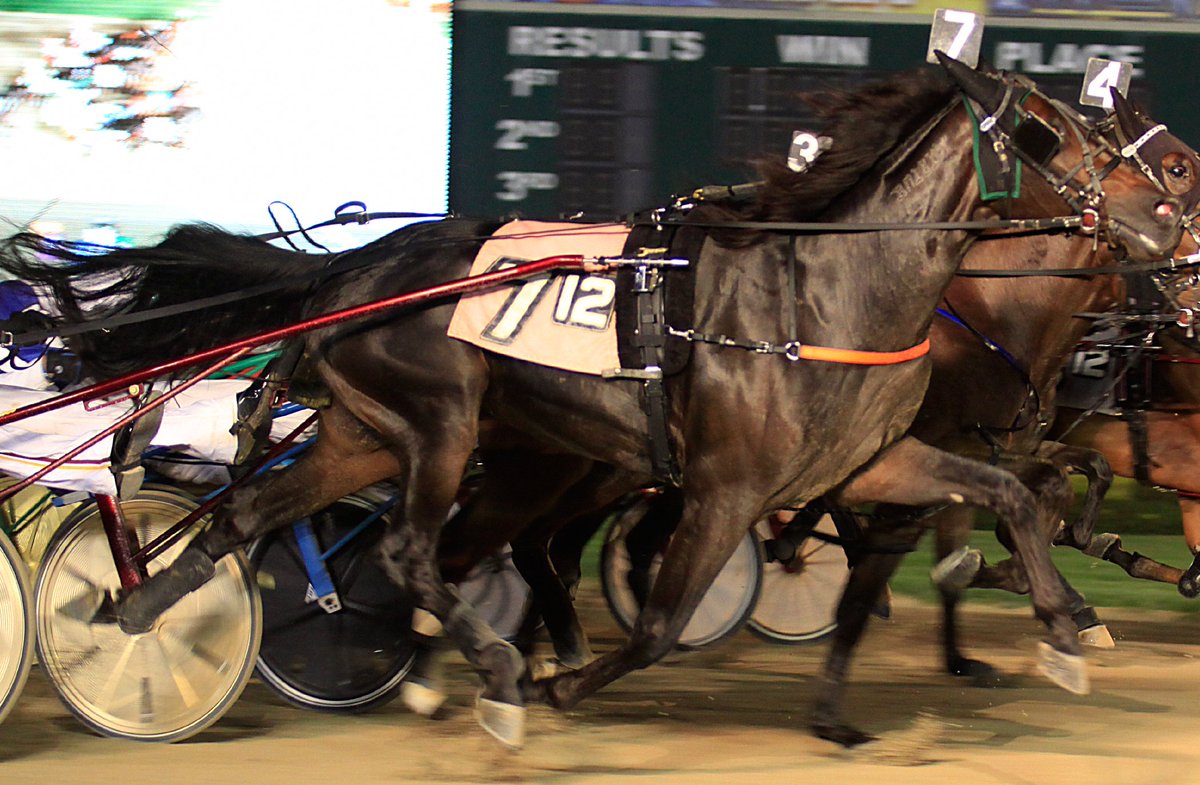HoP_Racing's tweet photo. Congrats to the connections of Jesse V winning the $75,000 ISS Final @HoP_Racing tonight! https://t.co/v09GyyUcez
