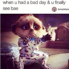Prime_Dutchess's tweet photo. I wish :/ could use my cuddle buddy https://t.co/bUJW9rtEIs