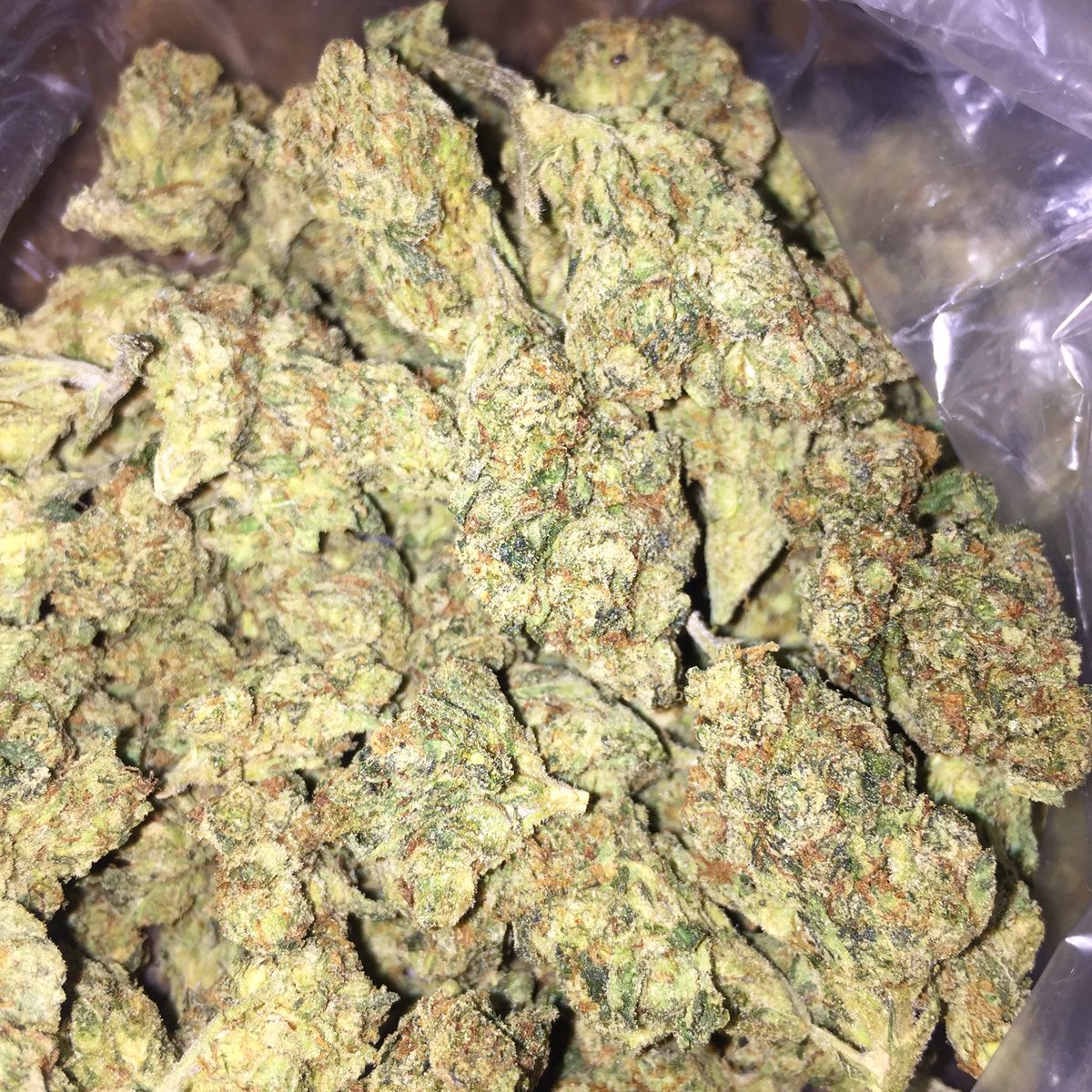 IAmSmokeyBear's tweet photo. #UCantSmokeWithMe https://t.co/L8ozk4Qr8l