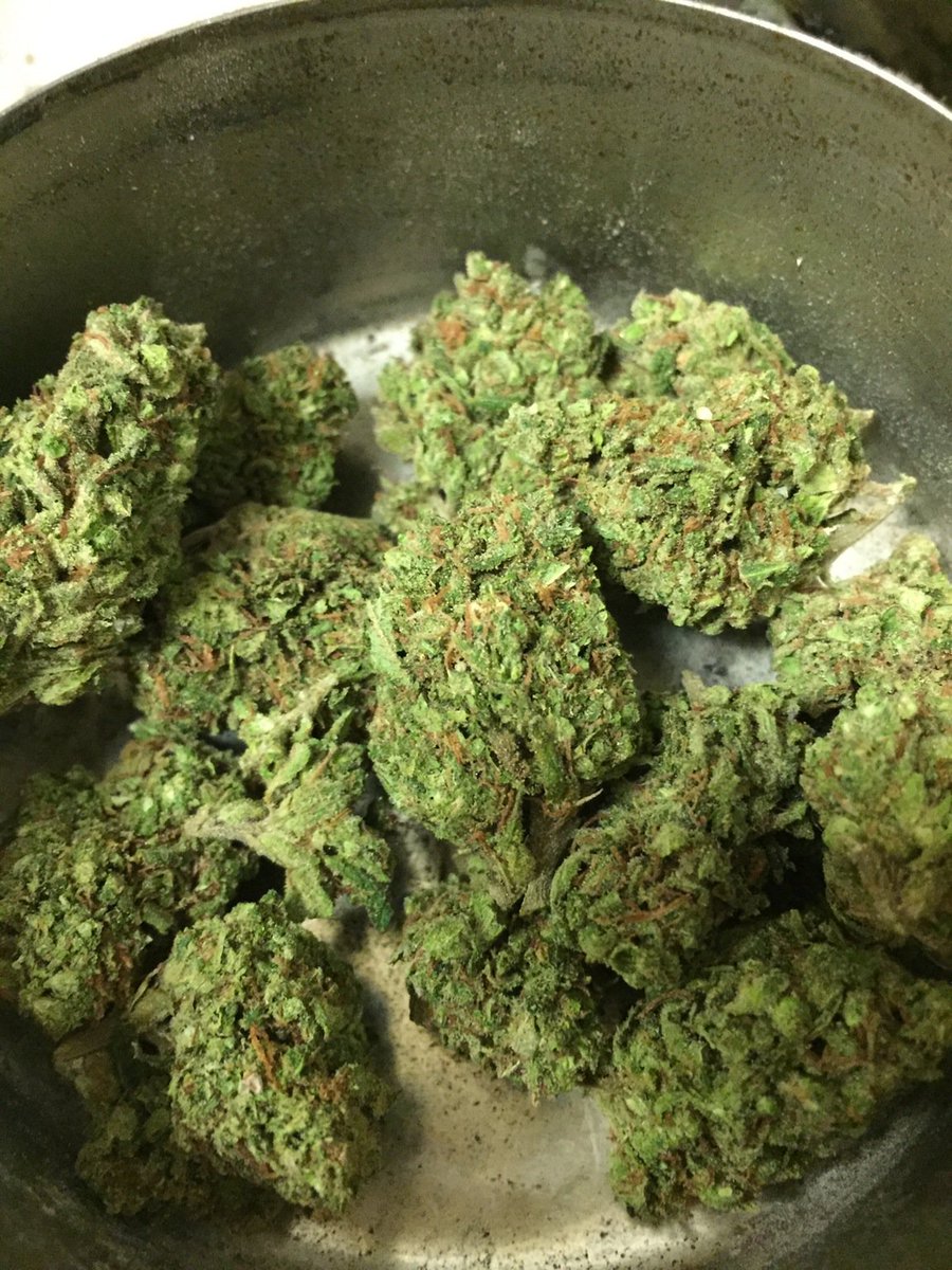 theweedmanpics's tweet photo. Prepping mentally for the hurricane #FloridaNow #HurricaneMatthew #survivor #weed #marijuana #cannabis #theweedmanpics #thc https://t.co/HNOIoeooaA