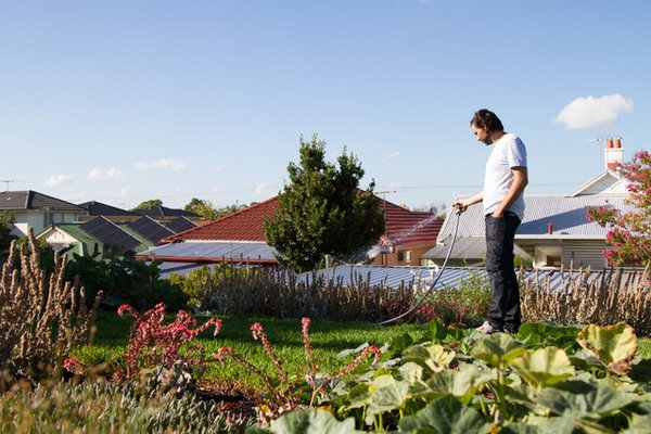 Domaincomau's tweet photo. The perks of having a green roof https://t.co/5Z0Bk8oorc #greenroofs https://t.co/dkqfDmdxBx