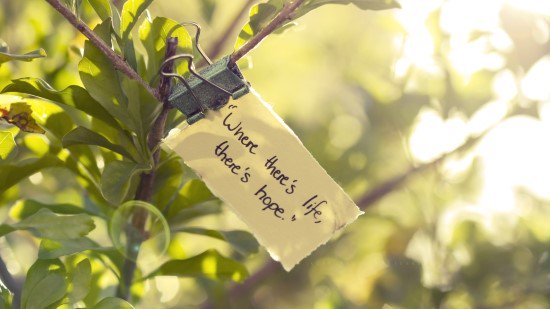 고통은 인간의 위대한 교사이다.  고통의 숨결 속에서 영혼은 발육된다.