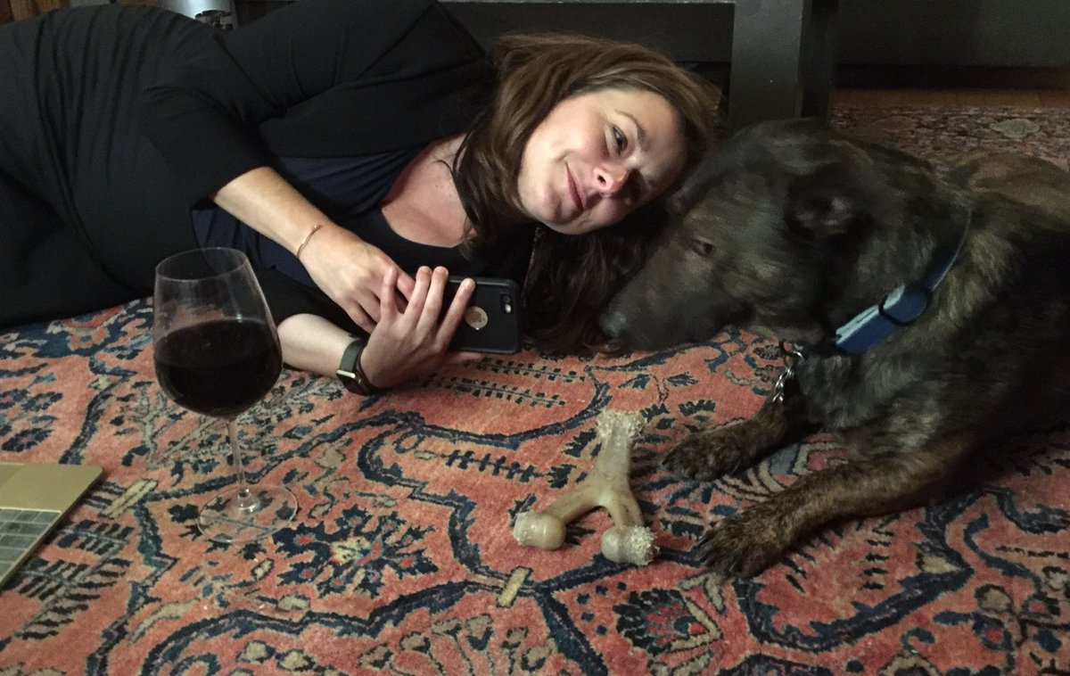 britamarlee's tweet photo. Berned out and back in Madison. Thanks @HillaryforWI for a memorable day. #dogsforhillary #tootiredtostand #boxofwine https://t.co/fDiFyDAmA9