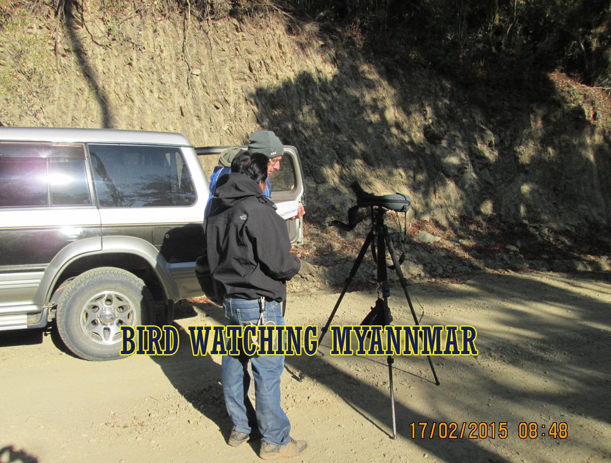 BirdwatchingM's tweet photo. Birding tour in the vicinity of Mt.Victoria. 
Email : myanmarbirdingtours@gmail.com
Web: https://t.co/HddKZjWgGS https://t.co/JifW1oOukr