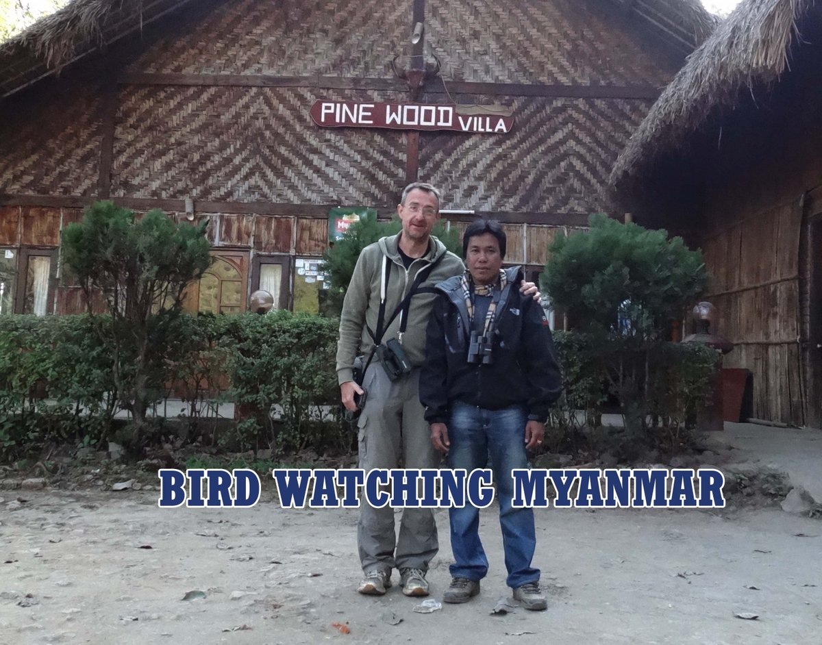 BirdwatchingM's tweet photo. Birding tour in the vicinity of Mt.Victoria.
Email : myanmarbirdingtours@gmail.com
Web: https://t.co/HddKZjWgGS https://t.co/Zje68T8bWQ