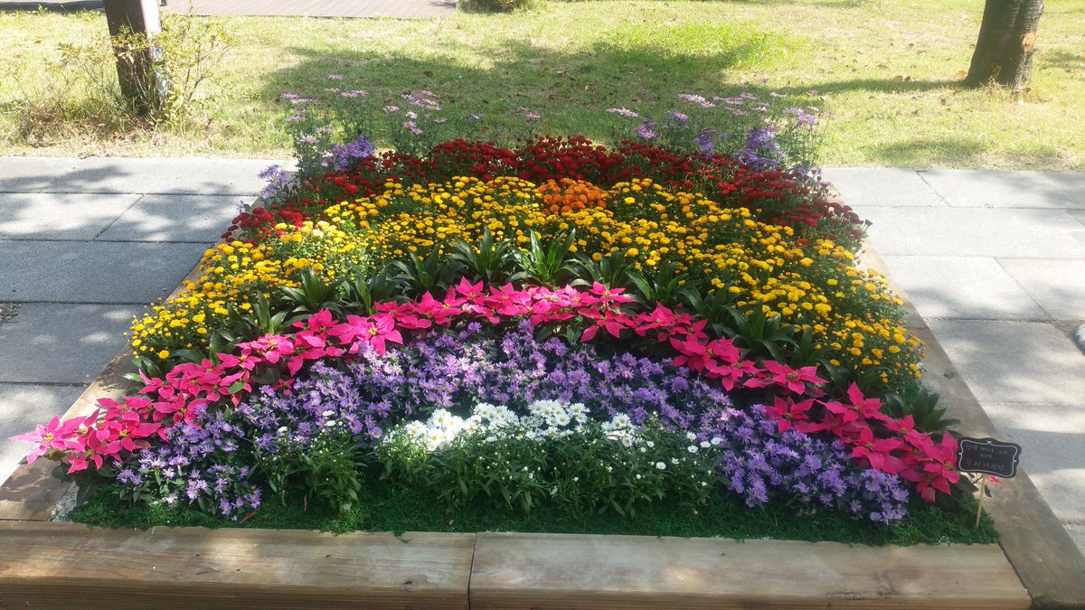 eunyle90's tweet photo. 아름다운 꽃으로 느끼는
#성남시청 가을의 향기🍁

내일부터 열리는
경기정원문화박람회 준비가 한창입니다:)

#경기정원문화박람회
#사랑방문화클럽축제
#시민참여예산축제
#시민체육대회 까지

이번 주말
#성남시 로 놀러오세요! https://t.co/Gj2kFmpLPm