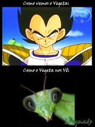 Vegeta Sincero