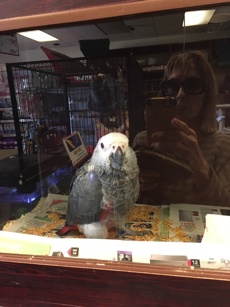 I've been in this tiny cage for more than a week now. I cost R3 800.Seems no one is interested in buying me <a href="/BAT_S_A/">Ban Animal Trading</a>