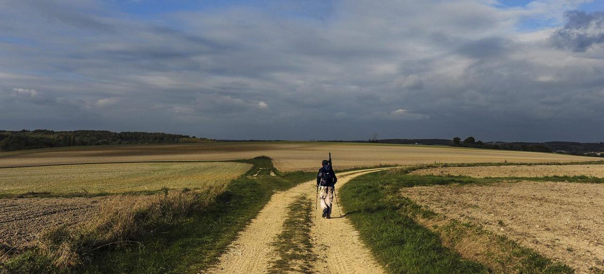 judithwesch's tweet photo. En chemin l'esprit s'ouvre #littérature #photo #ThomasGoisque https://t.co/TLxRmG81ED https://t.co/sbyQx8SAzY
