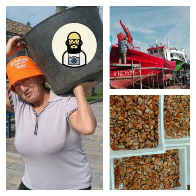 ¿Quieres conocer la auténtica población local, descubrir la industria, pequeños productores y las iniciativas locales? ¡No te lo pierdas!