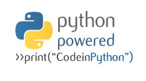 codeinpython's tweet image. Logo decisions ?? #python #codeinpython #logodesign