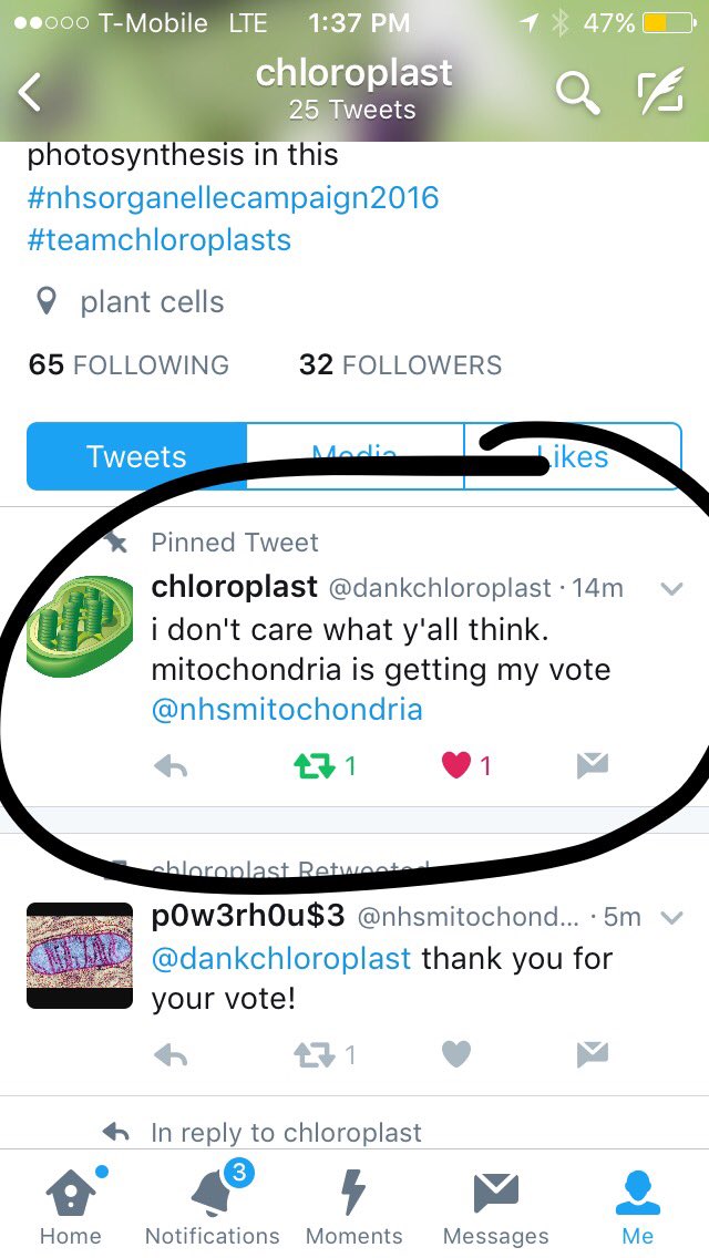 nhsmitochondria's tweet photo. when @dankchloroplast tries to hid the fact that they're going to vote for us. #nhsorganellecampaign2016 #whyyoualwayslying https://t.co/xLMn4oZuSo