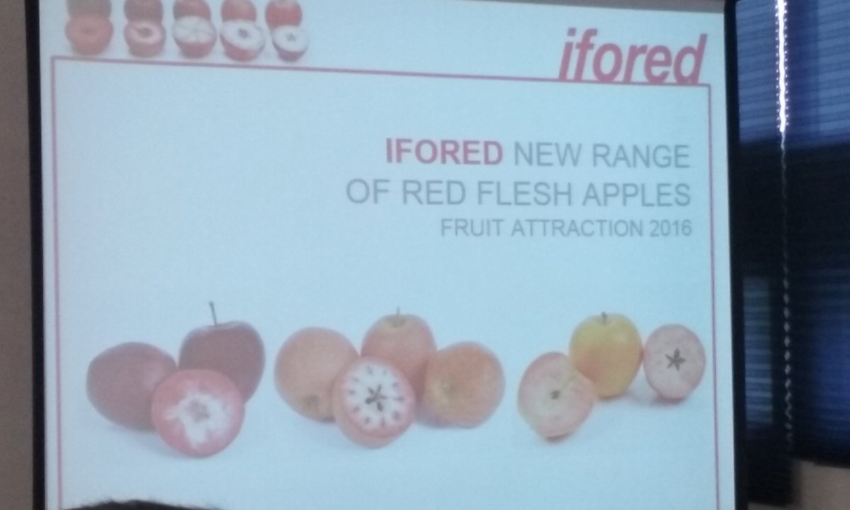 ana99lopez's tweet photo. #Ifored presenta la #manzana de pulpa roja en cuatro variedades en @FruitAttraction #innovacion #VOG @fruitecom_rp @revistaARAL https://t.co/9CI3vWh5oj