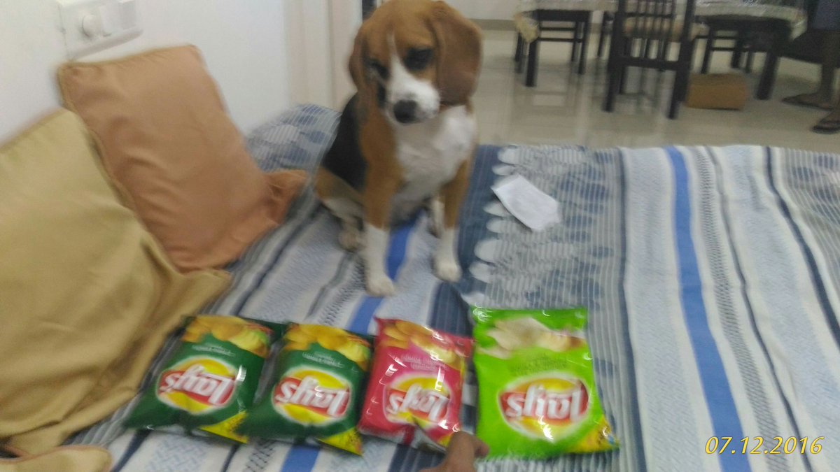 No one can eat just one #lays #LaysFlavorAllStars