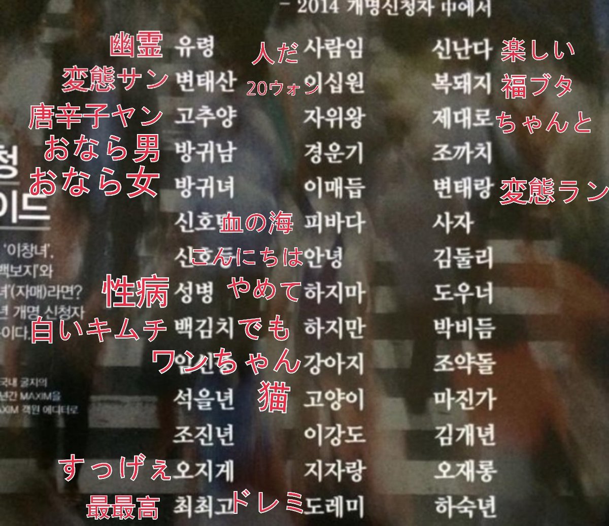 트위터의 キム セイン 님 日本はちょっと特異な名前をキラキラネームといいますね 韓国はキラキラネームという用語はないですが 日本に負けないすっごい 名前が多いですけどこれを見てください 白い名前が赤色に聞こえるということでひどい下ネタになる名前や訳し