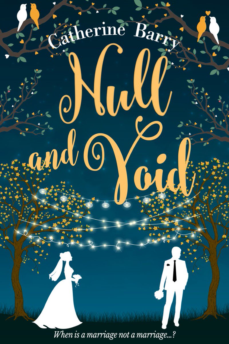 CatherineBarry2's tweet photo. NULL AND VOID available on kindle now! CB x https://t.co/3MeK4os5yG https://t.co/2VpTmLtN1R