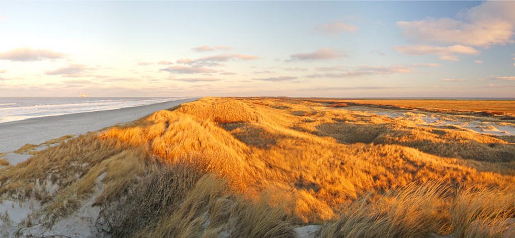 Wegens annulering beschikbaar: Duinlodge 14/10 - 21/10 € 430,- meer info: kiekduun.nl #ameland #herfstvakantie #vakantie