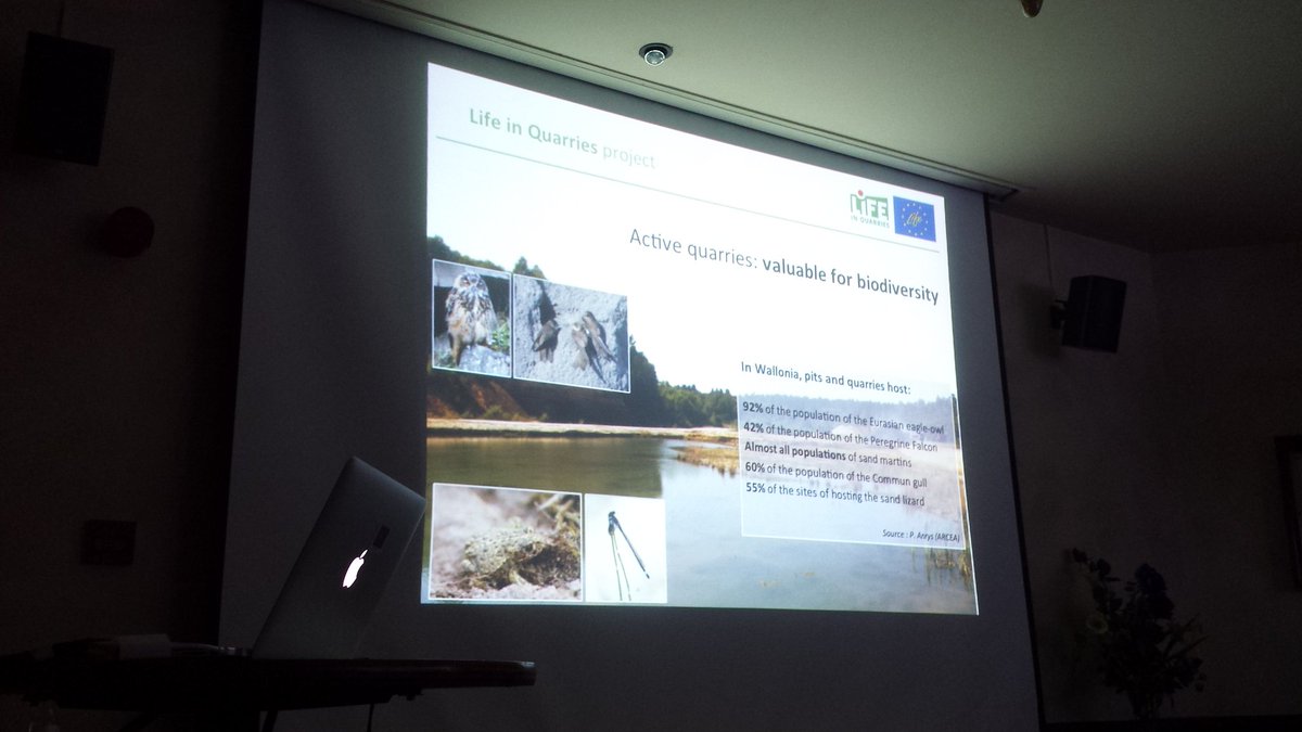 life_elia's tweet photo. Amazing diversity of #LIFE project ! LIFEinQuarries explains actions undertaken to enhance biodiversity. A promising project ! https://t.co/DbvyMgyDRe