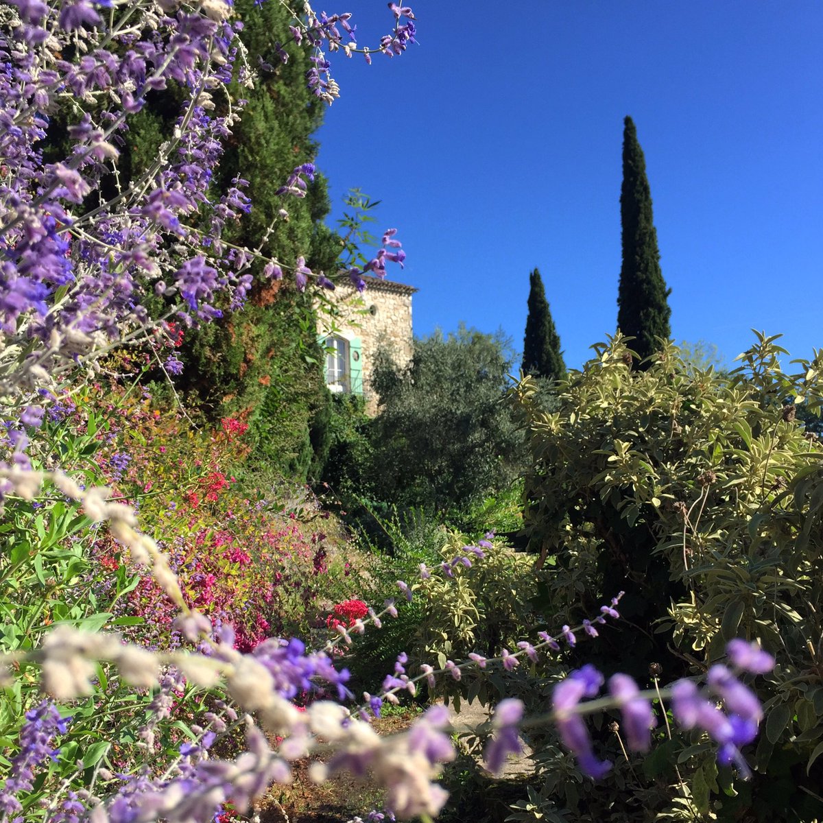 MoraimeT's tweet photo. El Jardín de Sardi
Añoranza del mediterráneo en Dordogne.
#jardin #garden #frenchgarden #jardinsdefrance #jardinesdefrancia #sardi #dordogne https://t.co/eI6i6D4qH7