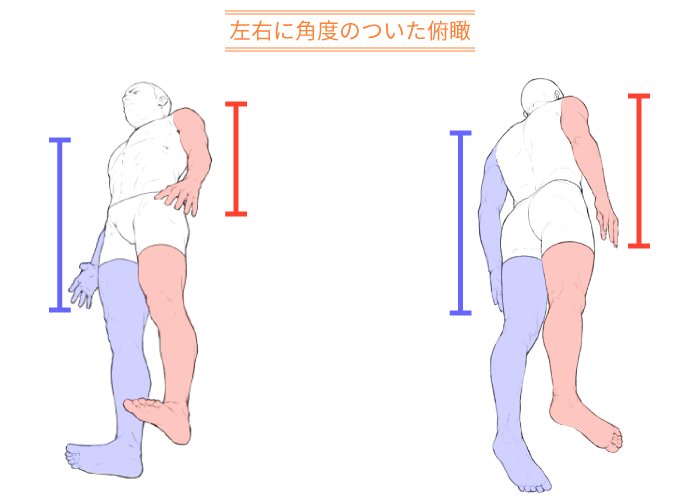 Pixiv描き方 Sensei 在 Twitter 上 見え方に注意しながらあおりについて解説していきます 体を下から見上げた時の描き方を学んでいきましょう 体のあおりを考える Sensei By Pixiv 動画で学ぶお絵かき講座 T Co Alhcsfmqfe T Co Xpvld1gotg