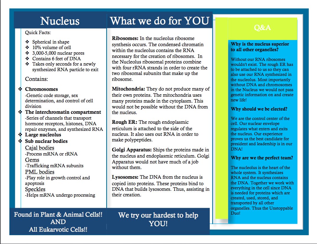 Nucleus_4_Pres's tweet photo. Make sure to take a look why you should vote nucleus!!! #organellewars https://t.co/PT4QXIxBf3