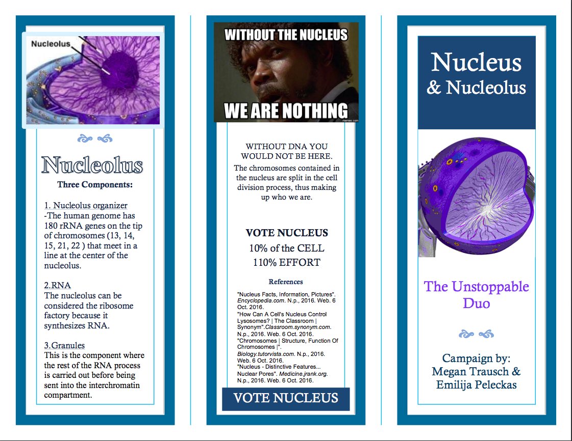 Nucleus_4_Pres's tweet photo. Make sure to take a look why you should vote nucleus!!! #organellewars https://t.co/PT4QXIxBf3