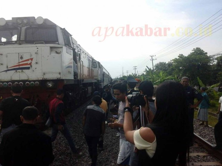Anggota Tubuh Berhamburan Setelah Diterjang KA Maharani - apakabar.co.id/peristiwa/item…