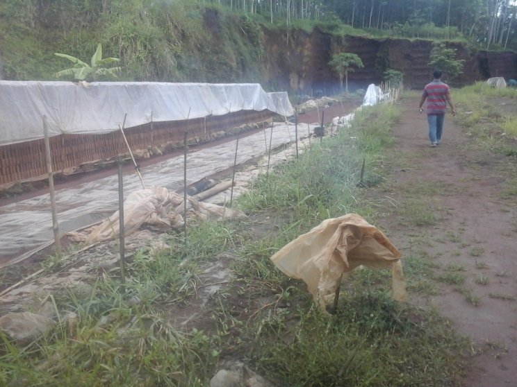 Ditolak Warga, Kasus Pengeboran Dampit Serupa Kasus Wagir - apakabar.co.id/lingkungan-edu…